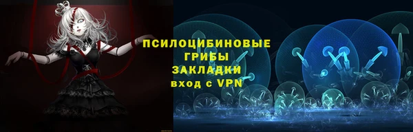гидра Дмитровск