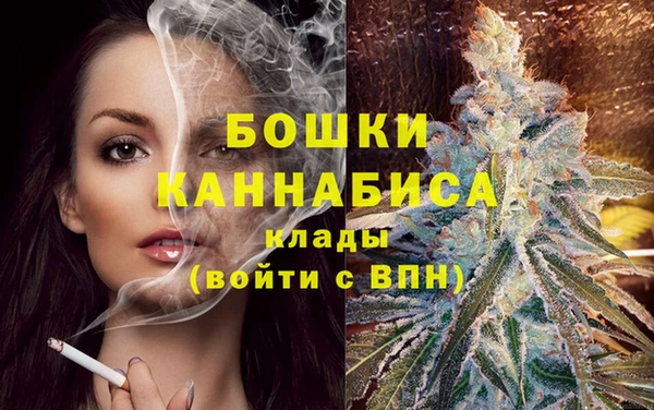 мет Дмитров