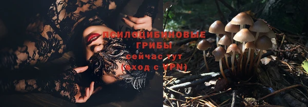 jwh Дмитриев