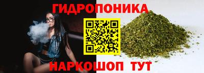спиды Лесосибирск